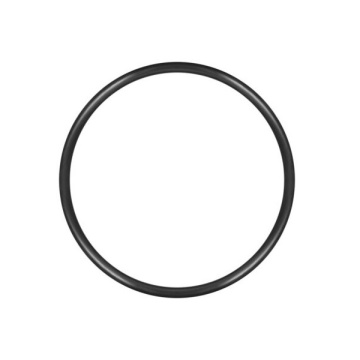 Garnitura O-Ring 50mm x 2,2mm Karcher