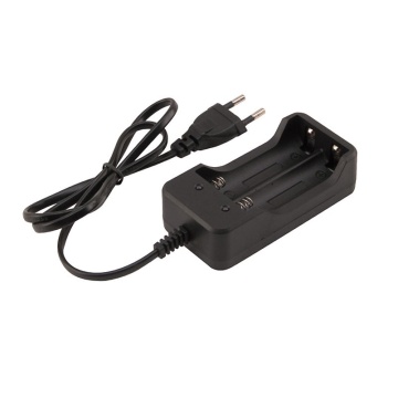 Incarcator Li-Ion 18650 2x 1000mA