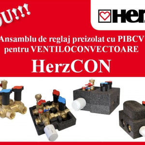 Ansamblu reglaj