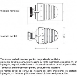 cap termostatic