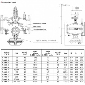 regulator automat debit