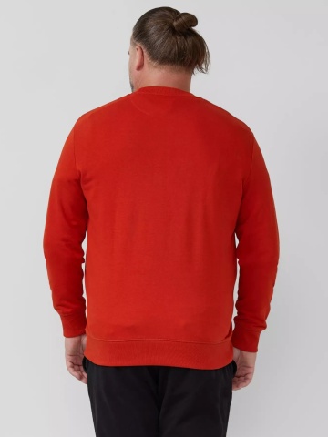 s.Oliver Big Sizes Bluza barbati big sizes cu decolteu la baza gatului, logo, Regular Fit, Rosu caramiziu - Img 2