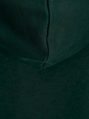 Jack & Jones Hanorac baieti cu gluga fara fermoar, Regular Fit, JJAMI, Verde inchis - Img 4