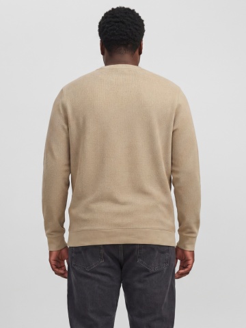 Jack & Jones Plus Pulover barbati din bumbac organic, decolteu la baza gatului, Regular Fit, JPRBLUALVES, Bej - Img 2
