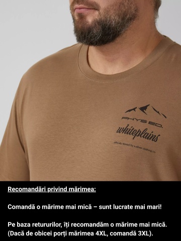 s.Oliver Big Sizes Tricou barbati big sizes, cu decolteu la baza gatului si imprimeu cu text, Maro - Img 3