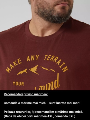 s.Oliver Big Sizes Tricou barbati big sizes, cu decolteu la baza gatului si imprimeu cu text, Rosu inchis - Img 3