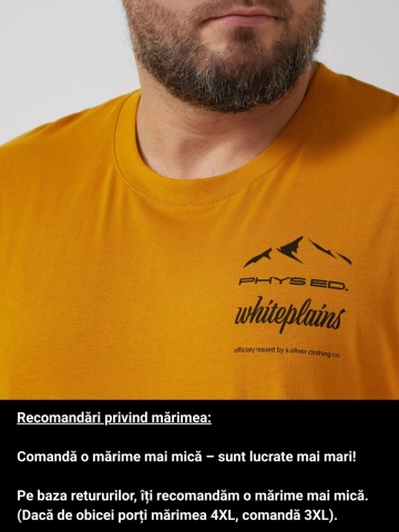 s.Oliver Big Sizes Tricou barbati big sizes, cu decolteu la baza gatului si imprimeu cu text, Galben inchis - Img 4