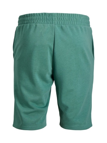 Jack & Jones Pantaloni scurti de trening barbati, JPSTARCHIE, Regular Fit, Verde deschis - Img 2