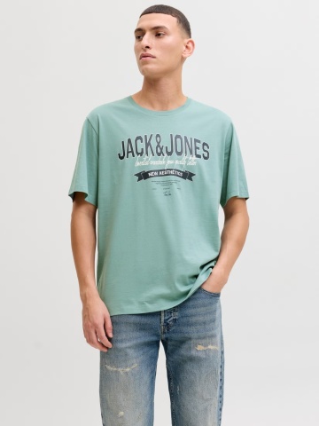 Jack & Jones Tricou cu decolteu la baza gatului, barbati, Standard fit, Verde deschis