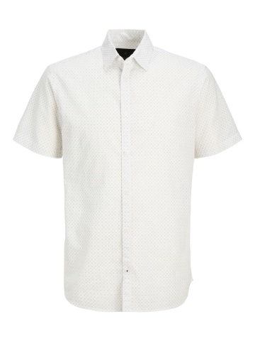 Jack & Jones Camasa de vara barbati, din amestec de in, Regular fit, Alb - Img 8