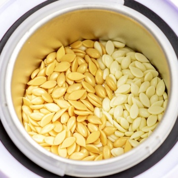 Ceara epilat elastica granule natural 100g - Img 2