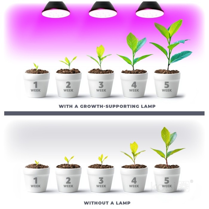 Bec LED pentru cresterea plantelor 7W PLANTY B, E27, lumina roz 1200K, negru, Kobi Design - imagine 5