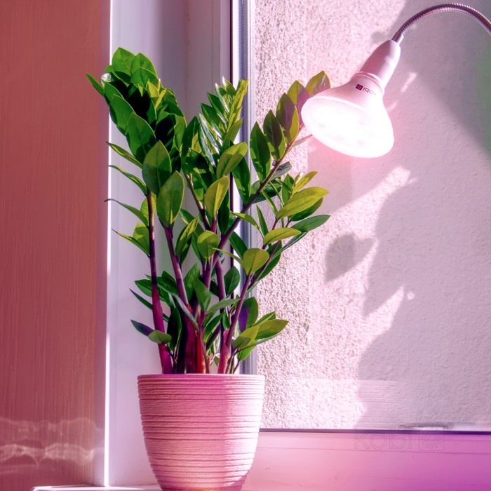 Bec LED pentru cresterea plantelor 7W PLANTY B, E27, lumina roz 1200K, alb, Kobi Design - 1 | YEO