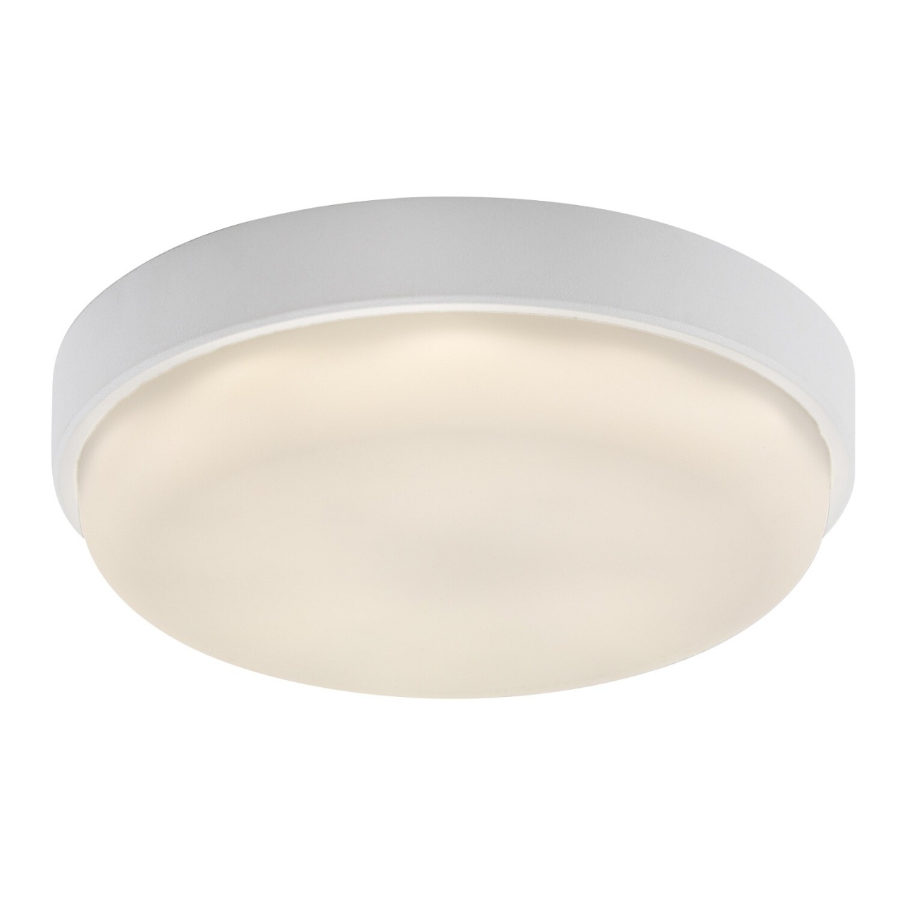 Plafoniera LED exterior rotunda Hort2, 14W, 1250 lm, lumina neutra (4000 K), IP54, alba, Rabalux - Imagine 2