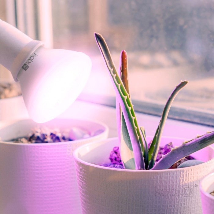 Bec LED pentru cresterea plantelor 7W PLANTY B, E27, lumina roz 1200K, alb, Kobi Design - 2 | YEO