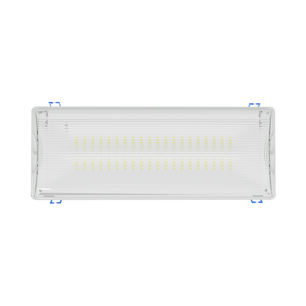 Lampa emergenta EXIT LED 5W, 350lm, 6500K, IP65, 180 min, Braytron - imagine 5