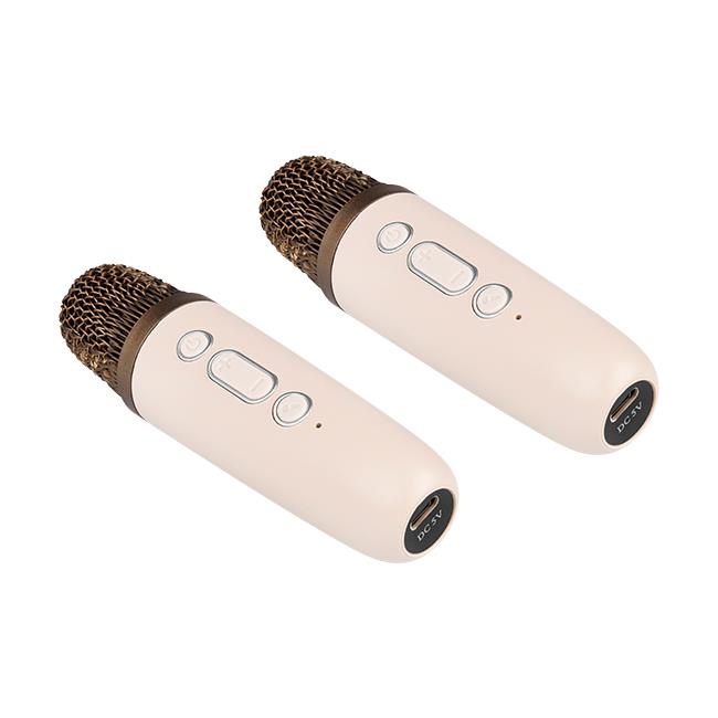 Set boxa bluetooth cu doua microfoane, RGB, 3W, USB-C, bej, Masterled