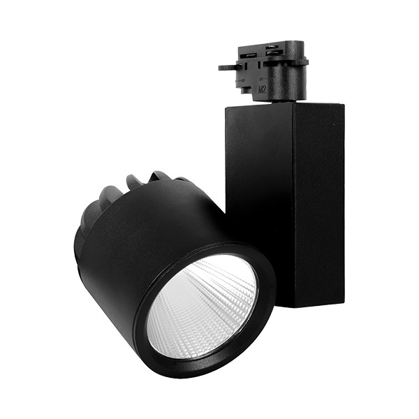 Spot LED pe Sina 30W, Braytron, 2600lm, Lumina Neutra (4000K), Negru