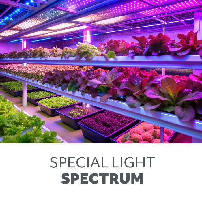 Lampa pentru cresterea plantelor Vitaro 4, 30W, 4 brate ajustabile, suport si controller