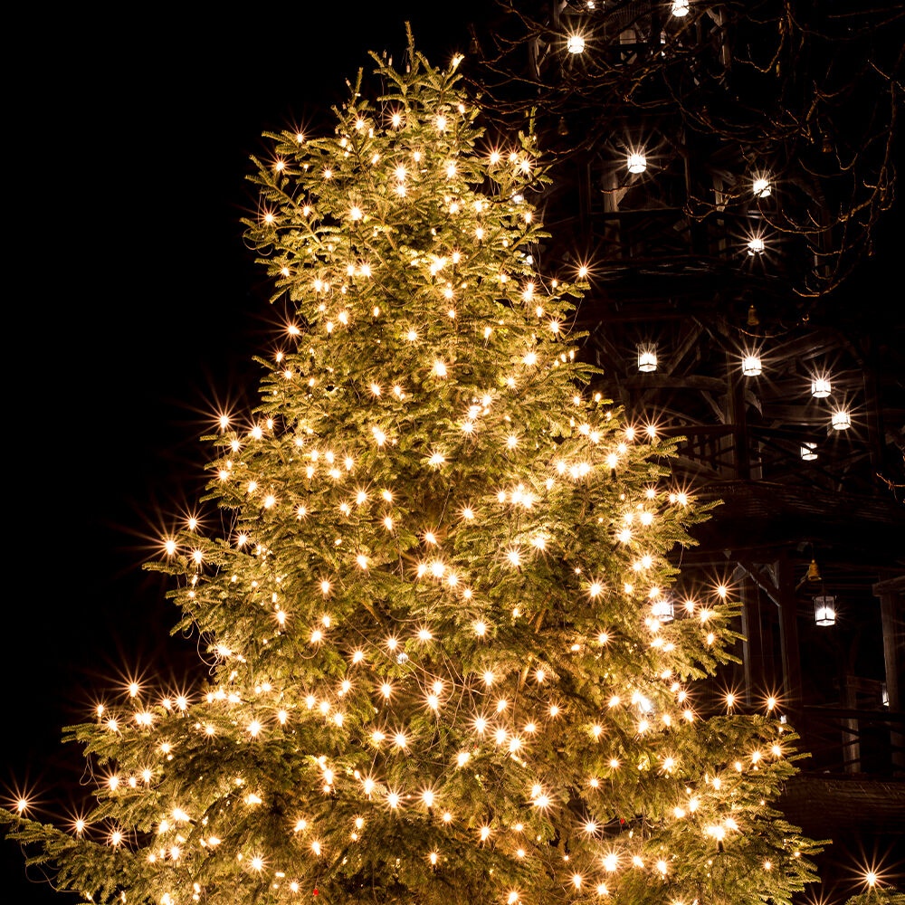 Sir luminos decorativ 50 LED-uri, 5m, lumina albastra, IP44, cablu alb, 3W/set, Braytron