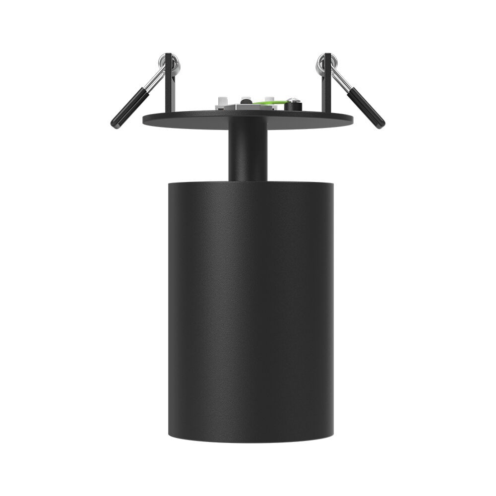 Spot aplicat GU10 Beta, aluminiu, negru, IP20, Braytron - imagine 4