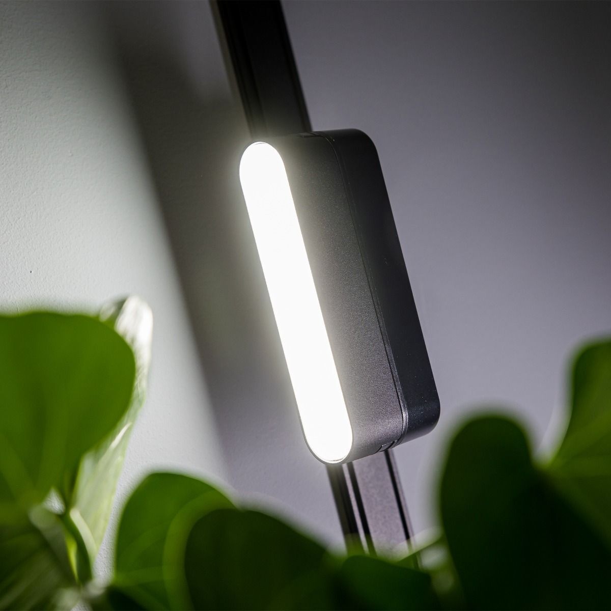 Spot LED pentru sina magnetica slim, liniar, 6W, lumina neutra(4000 K), negru, Klausen - 2 | YEO