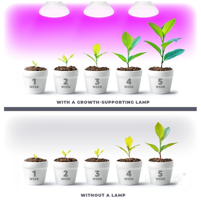 Bec LED pentru cresterea plantelor 7W PLANTY B, E27, lumina roz 1200K, alb, Kobi Design - imagine 5