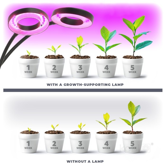 Lampa pentru cresterea plantelor Vitaro Ring, 8W, 2 brate ajustabile, dimabil, temporizator, Kobi Design - imagine 8