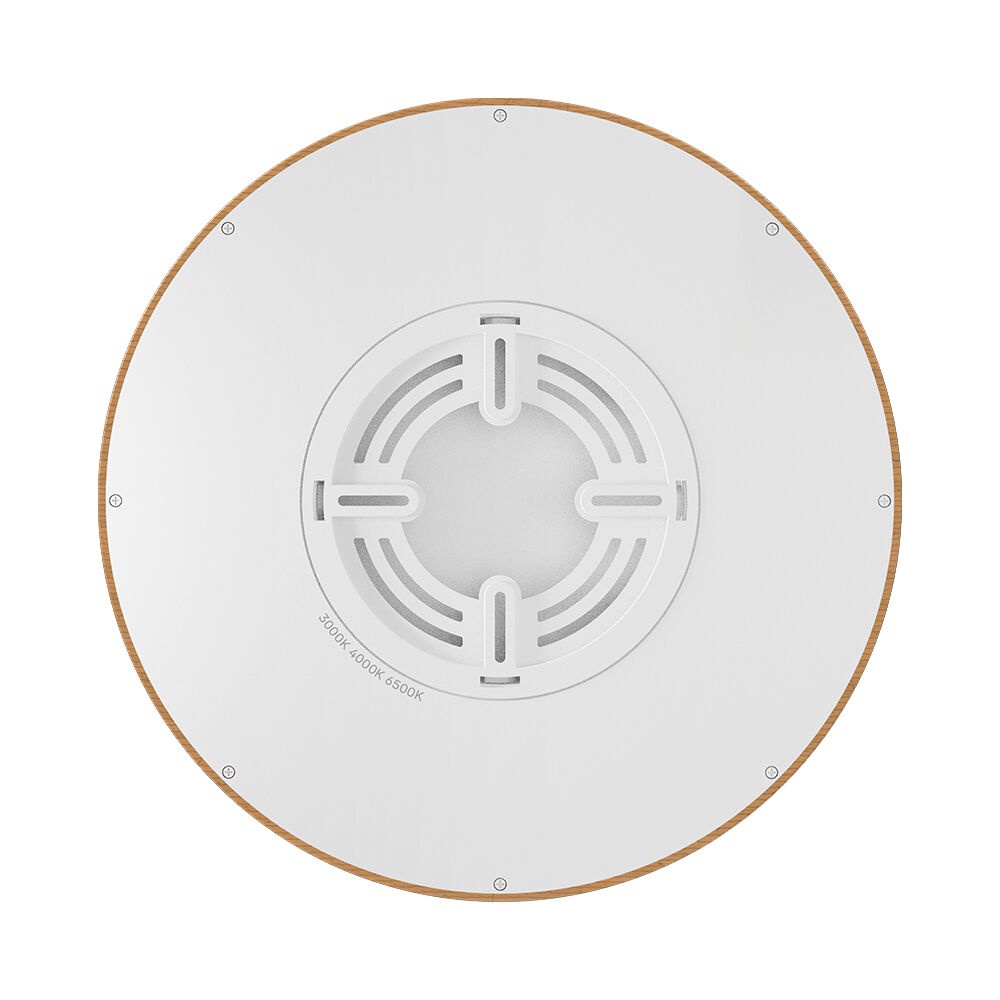 Plafoniera LED 26W, lumina calda/neutra/rece, neagra, IP40, Braytron - imagine 5