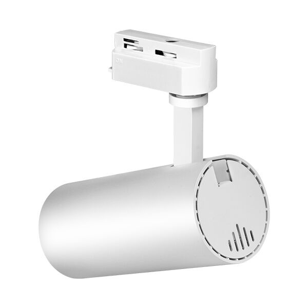 Spot LED pe sina 30W, 2660lm, lumina rece (6500 K), alb, Braytron - imagine 2