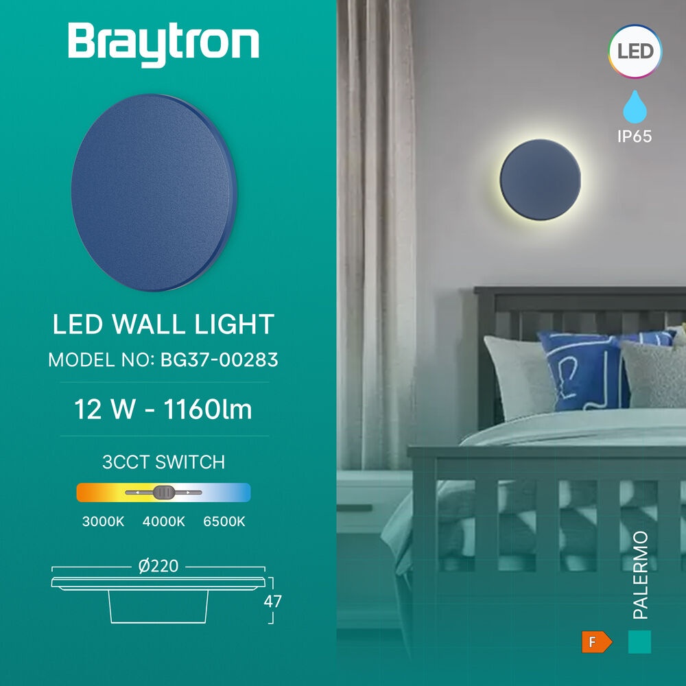 Aplica LED exterior 12W, 1160lm, lumina calda/neutra/rece, IP65, albastra, Braytron - imagine 3