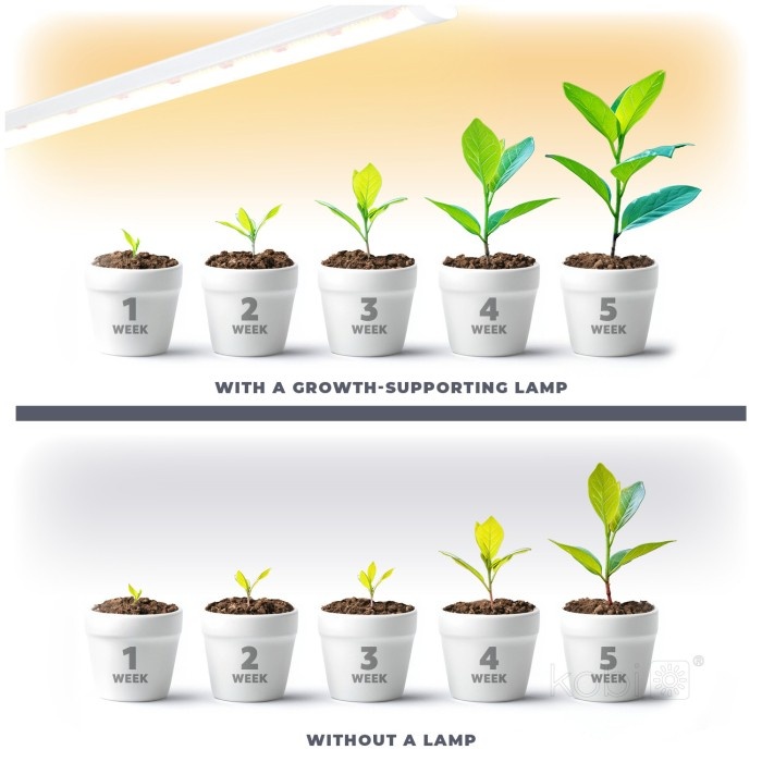 Lampa LED pentru cresterea plantelor GROWLY, 9W, Kobi Design - imagine 7