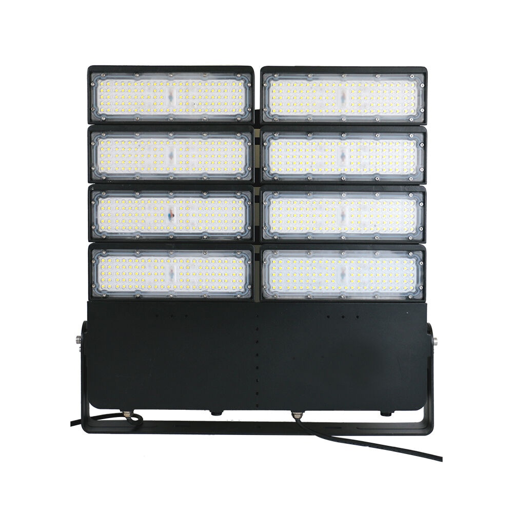 Proiector LED exterior 800W, lumina rece (6500 K), IP66, 112000 lm, Braytron - imagine 3