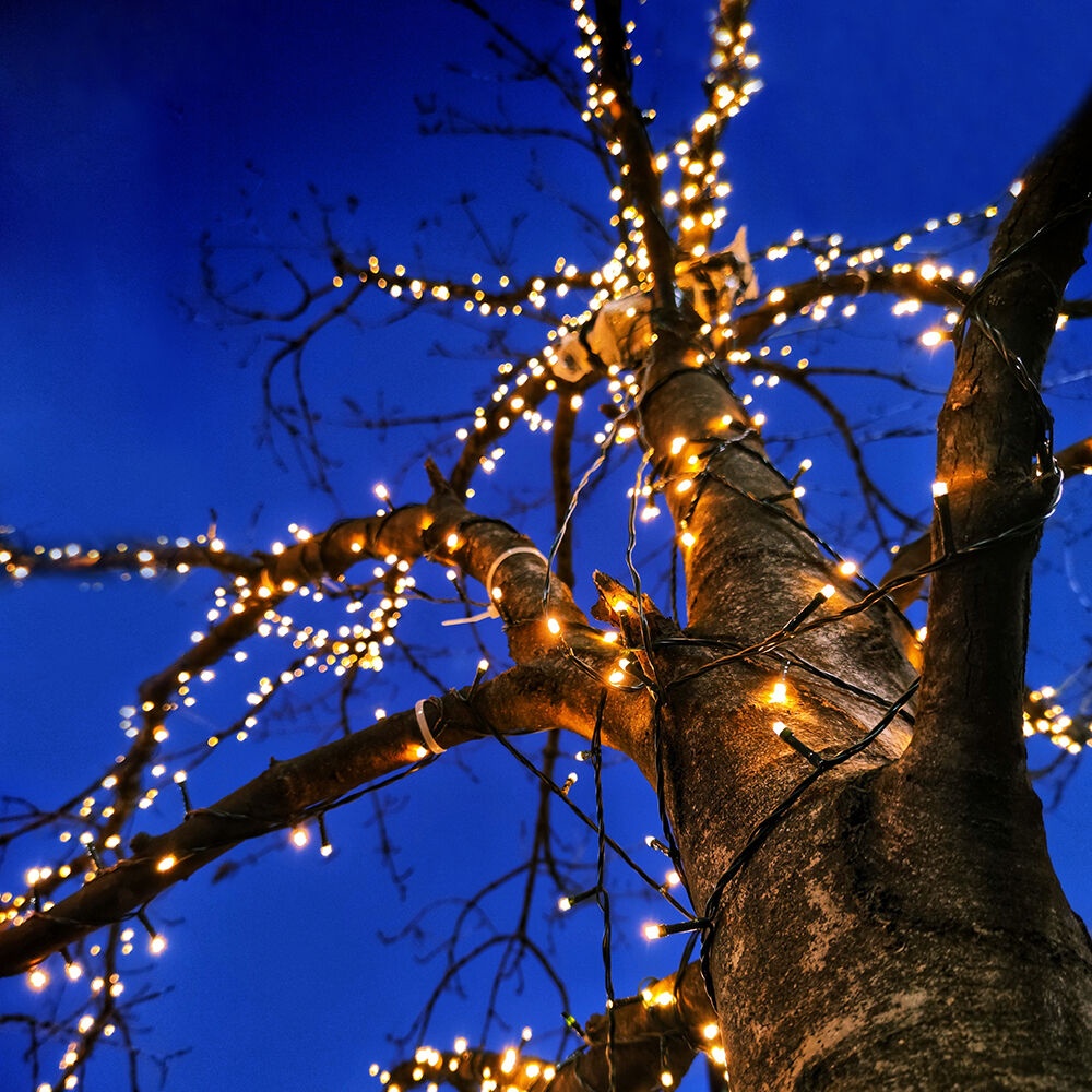 Sir luminos 50 leduri, 5m, lumina rece, IP44, cablu verde, 3W/set, Braytron