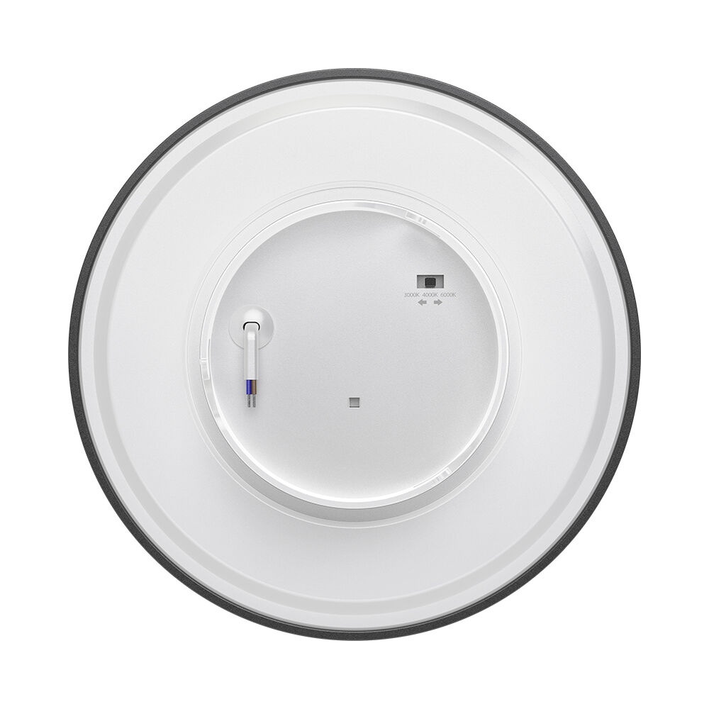 Aplica LED 12W pentru exterior Palermo, neagra, IP65, lumina calda/neutra/rece, 1160 lm, Braytron - 3 | YEO