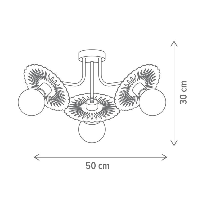 Aceasta este imaginea corespunzatoare acestui obiect