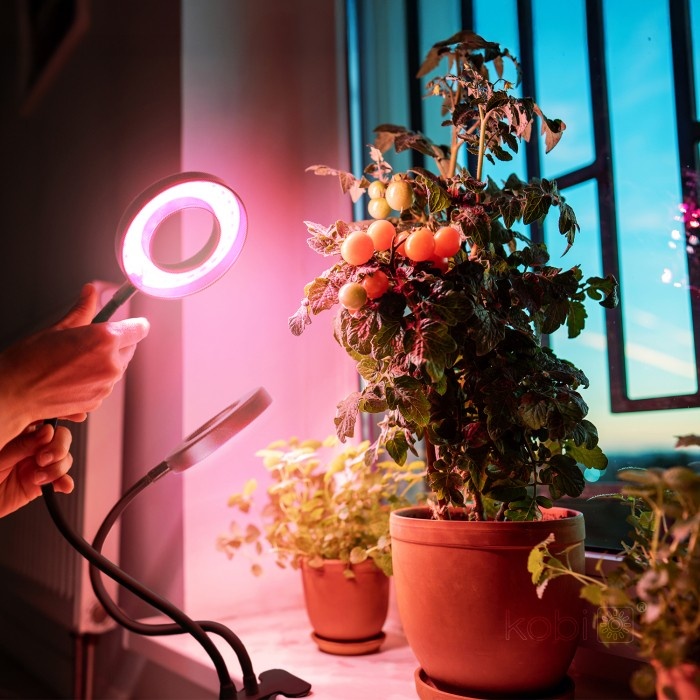 Lampa pentru cresterea plantelor Vitaro Ring, 8W, 2 brate ajustabile, dimabil, temporizator, Kobi Design