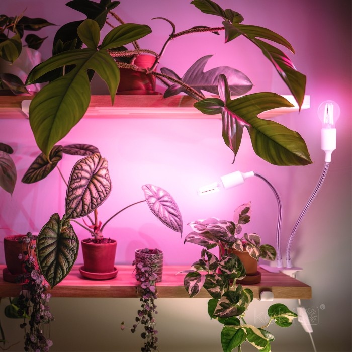Lampa pentru plante KOBI PLANTY, 2xE27, alba, Kobi Design - 3 | YEO