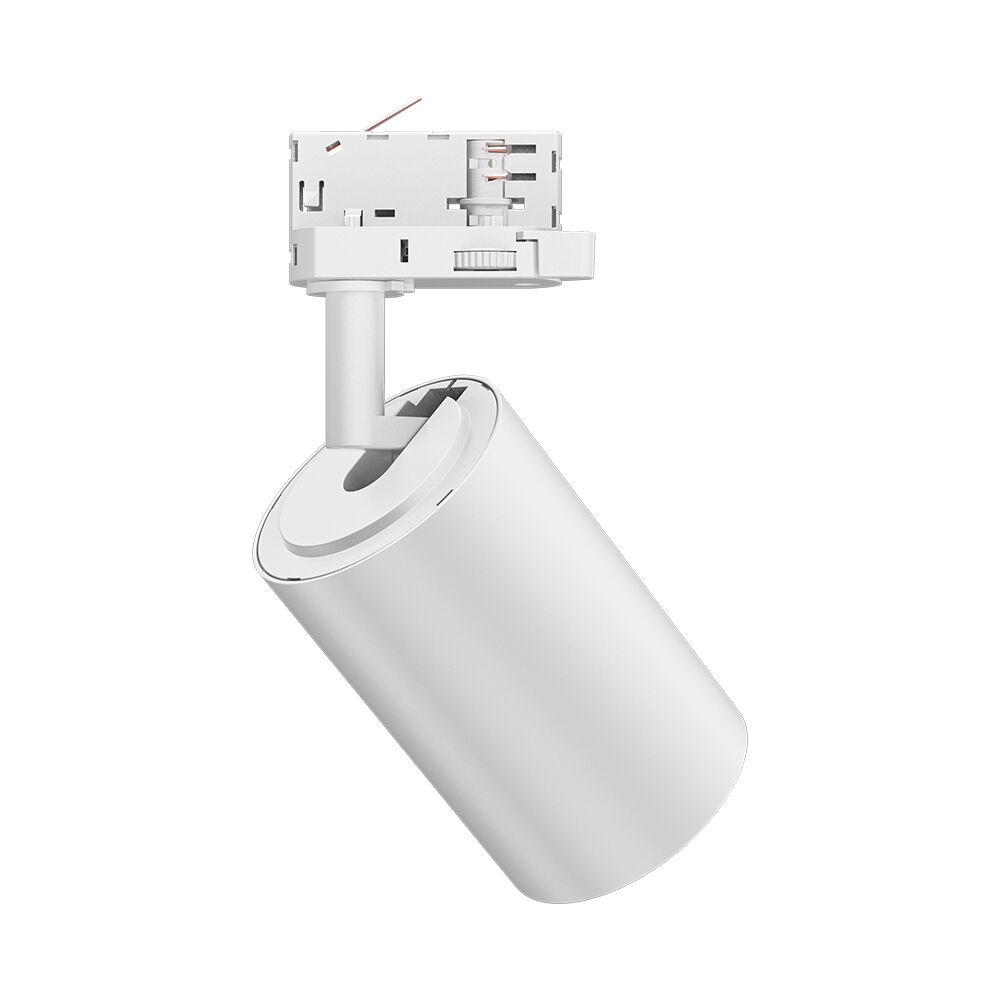 Spot LED pe sina 30W, lumina calda/neutra/rece, 3420lm, alb-negru, Braytron - imagine 6