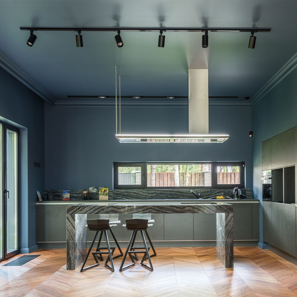 Spot pe sina GU10 Beta, aluminiu, alb-negru, IP20, Braytron - imagine 2