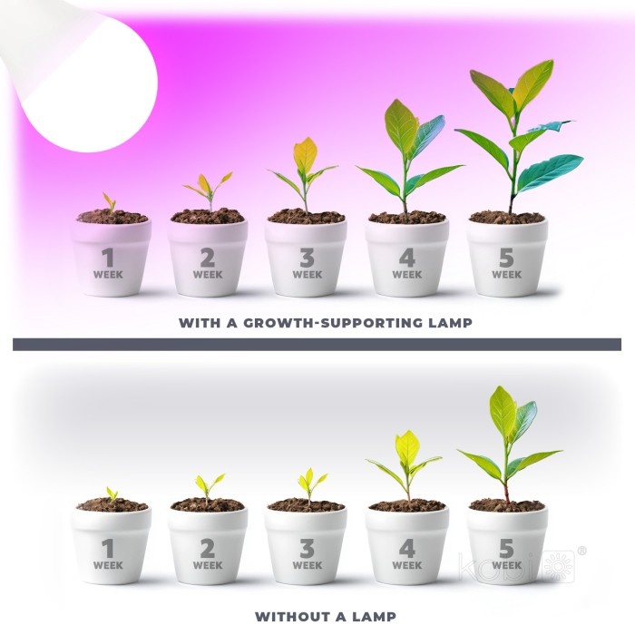 Bec LED crestere plante Planty GS, E27, 11W, lumina roz 1200K, 285lm, Kobi Design - imagine 5