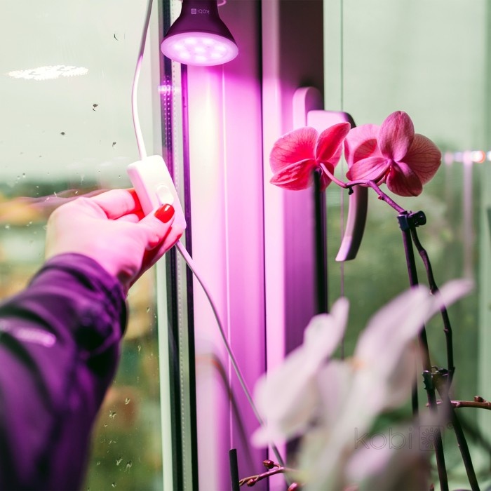 Bec LED pentru cresterea plantelor 7W PLANTY B, E27, lumina roz 1200K, negru, Kobi Design - 1 | YEO
