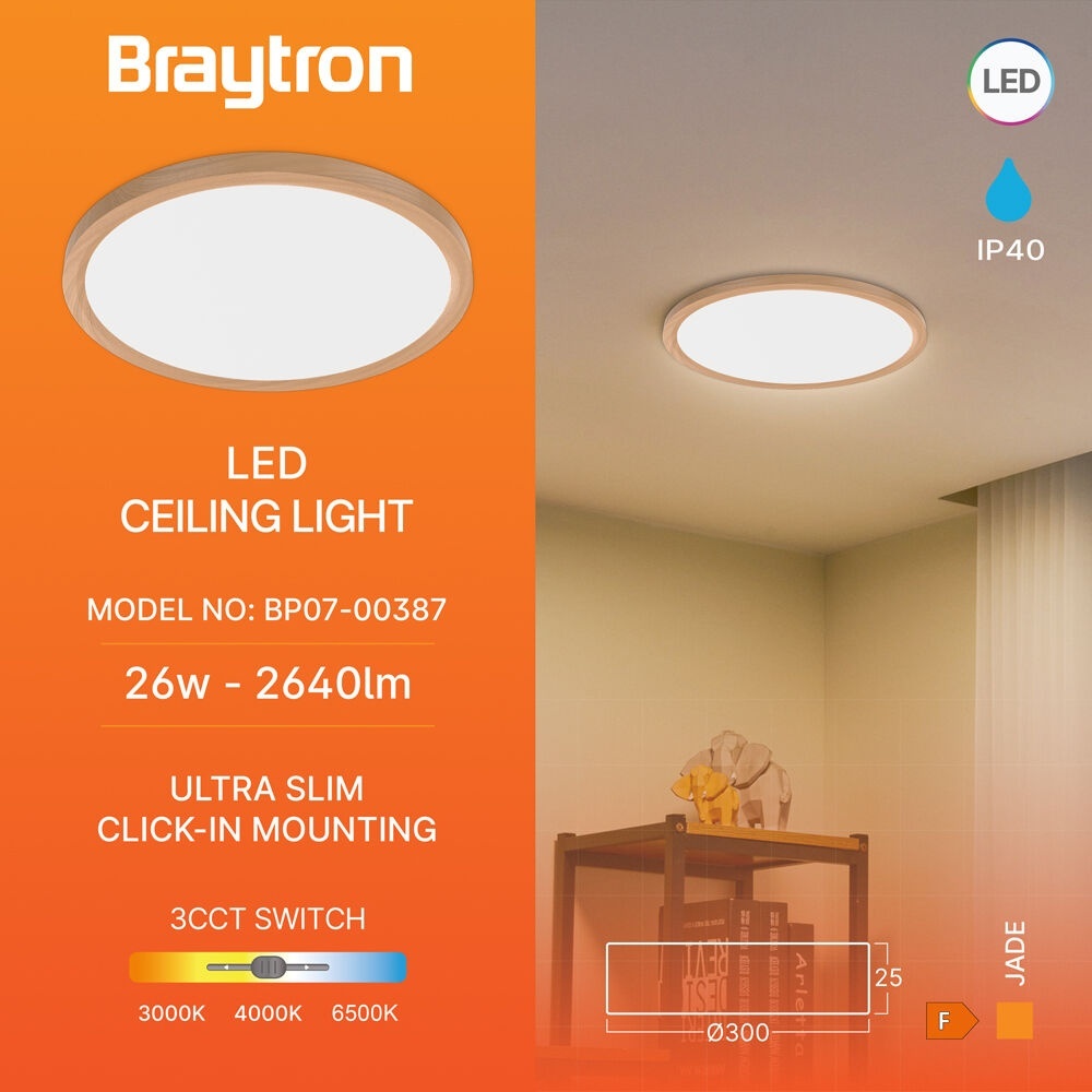 Plafoniera LED 26W, lumina calda/neutra/rece, neagra, IP40, Braytron - imagine 3