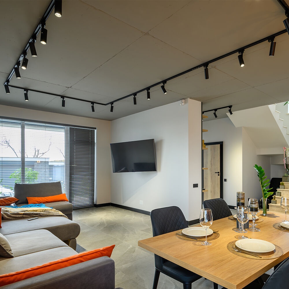 Spot LED pe sina 30W, lumina rece (5000 K), 2450lm, negru, Braytron - imagine 2