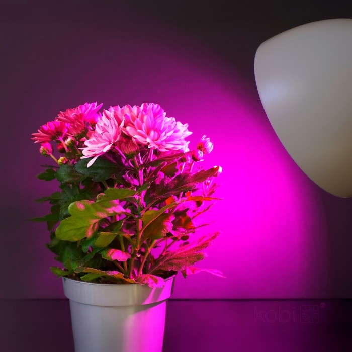Bec LED crestere plante Planty GS, E27, 11W, lumina roz 1200K, 285lm, Kobi Design - imagine 6