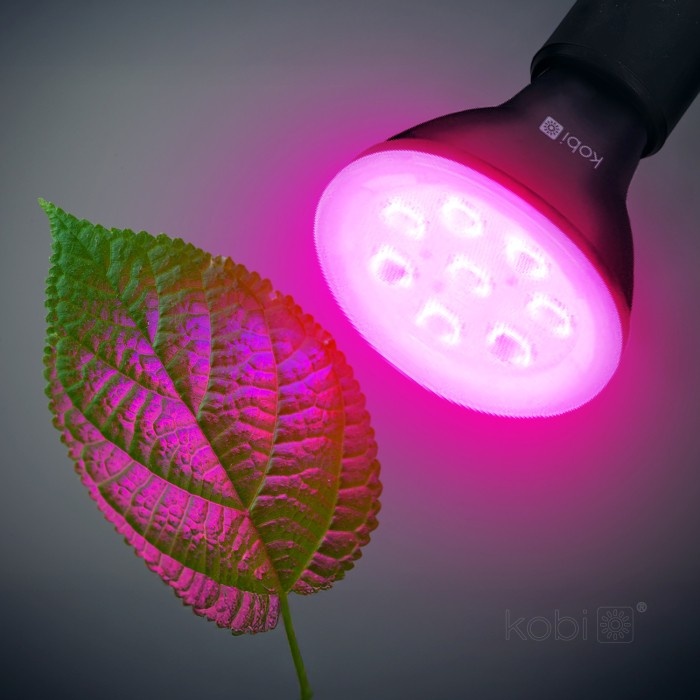 Bec LED pentru cresterea plantelor 7W PLANTY B, E27, lumina roz 1200K, negru, Kobi Design - 2 | YEO