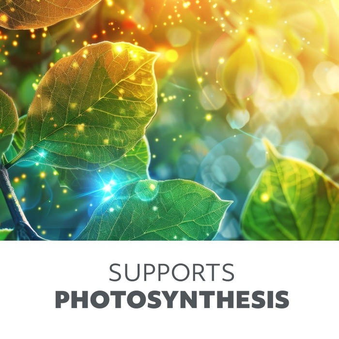 Lampa LED pentru cresterea plantelor VERDI 10W 3200K – ajustabila, timer, USB - imagine 7