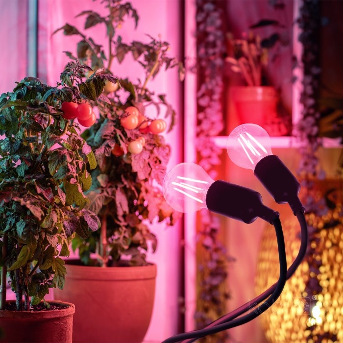 Lampa pentru plante KOBI PLANTY, 2xE27, neagra, Kobi Design - 1 | YEO