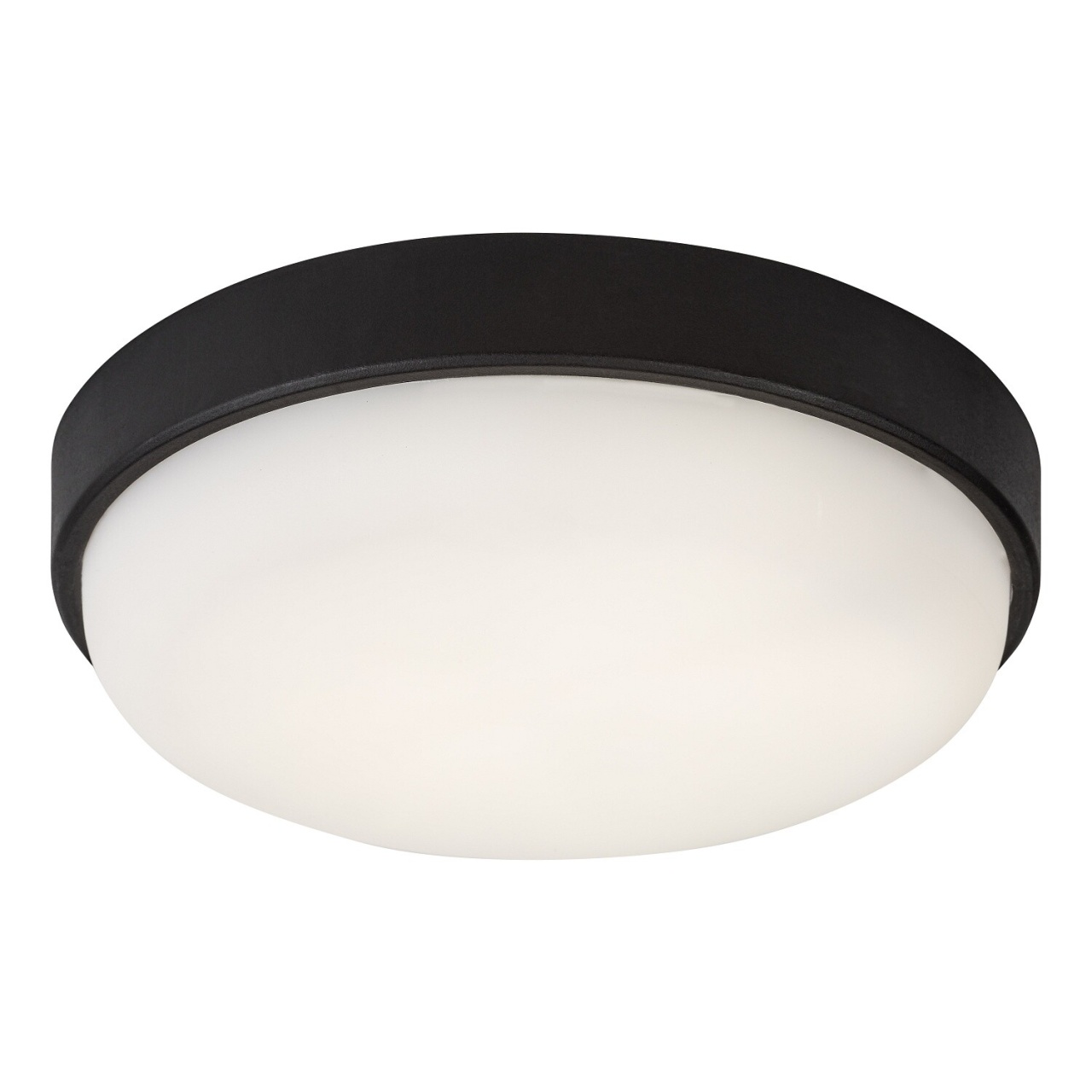 Plafoniera LED exterior rotunda Hort2, 14W, 1250 lm, lumina neutra (4000 K), IP54, neagra, Rabalux - Imagine 3