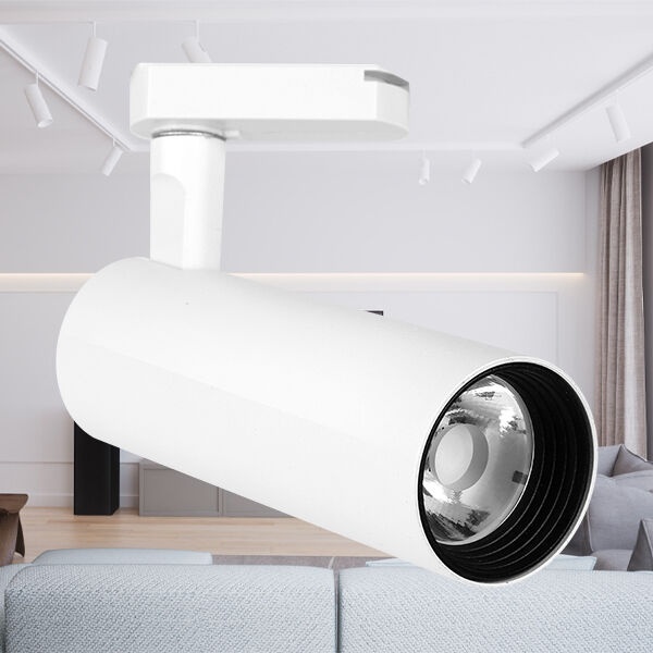 Spot LED pe sina 15W, 1180lm, 6500K, alb, Braytron - imagine 2